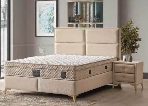 Bergen Bed Inc. Mattres  