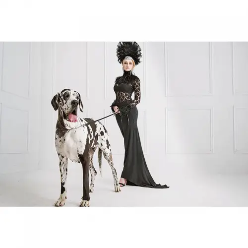 Fashion Young Woman & Big Dog 180x120x2cm