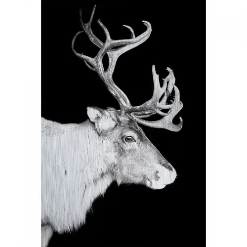 Rendier Alubrush 120x180x2cm