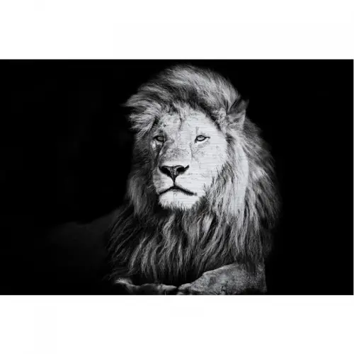 Leeuw Alubrush 180x120x2cm