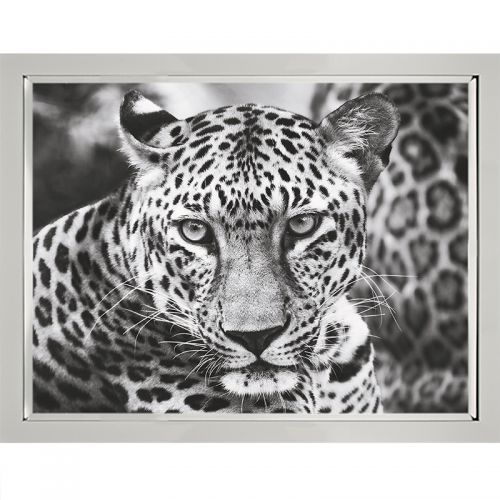 By Kohler Young Leopard 90x120x3cm (102669) (102669)