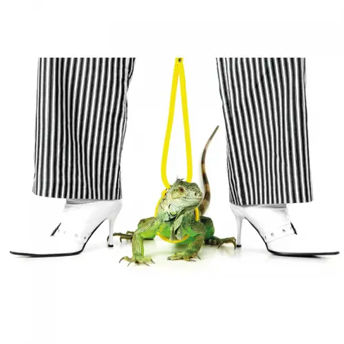 Green Iguna/Striped Trousers 80x120x2cm