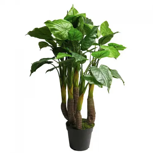 By Kohler Anthurium Avanti 120x50x50cm (111833)