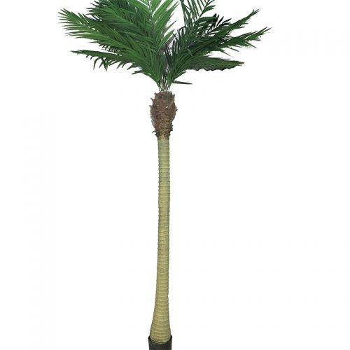 Areca Palm Maui W/Pot 240x70x30cm