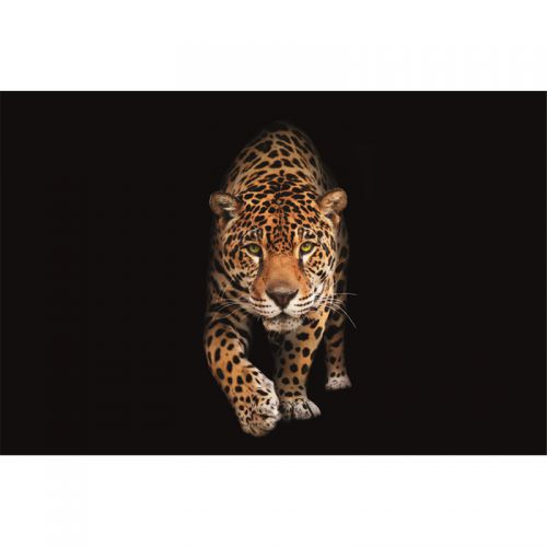 By Kohler Spotted wild cat - Panther 300x200x2cm mat (113483) (113483)