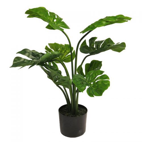 By Kohler Monstera Deliciosa green 68cm (51495-1)