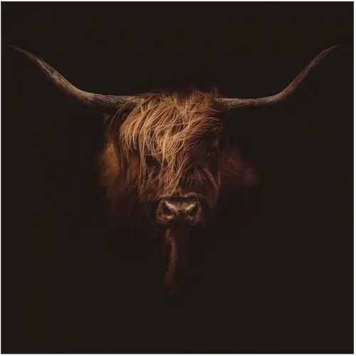 Bad Hairday 120x120x2cm