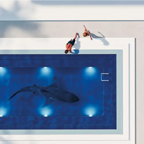 It's just a Fish 120x120x2cm