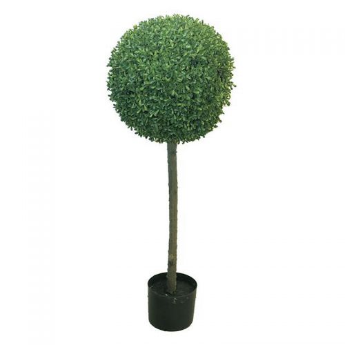 By Kohler Box Princeville Topiary W/Pot 38 -20x60cm (114408) (114408)