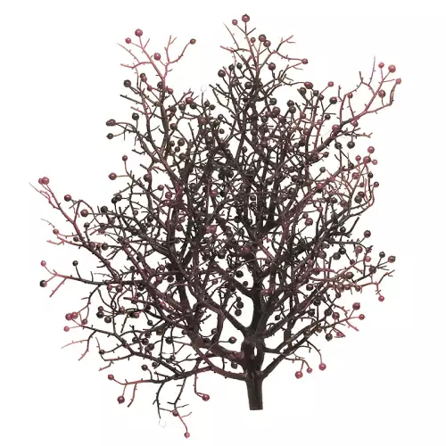 Pepper berry bush purple 46cm