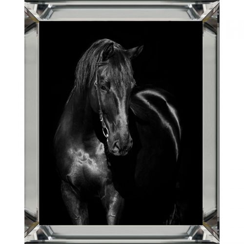 By Kohler Black Horse 3 40x50x3cm (114475) (114475)
