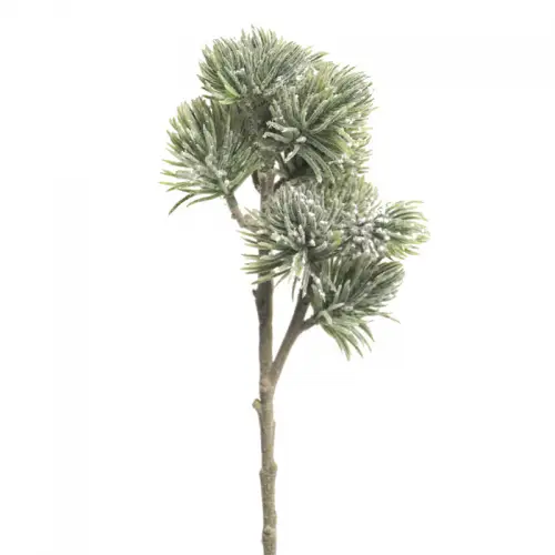 Pinus Spray Mugo Flocked 58cm