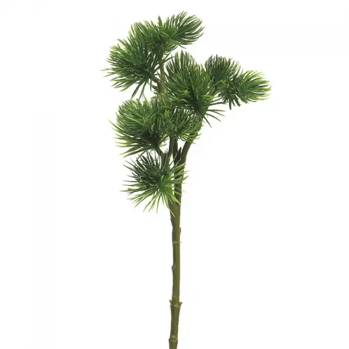 Pinus Spray Mugo Green 58cm