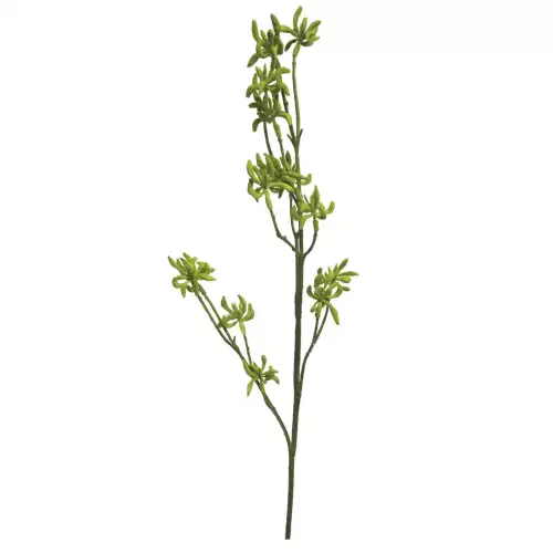 Eucalyptus bud spray green 68cm