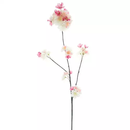 Prunus malaga spray beauty/cream 84cm