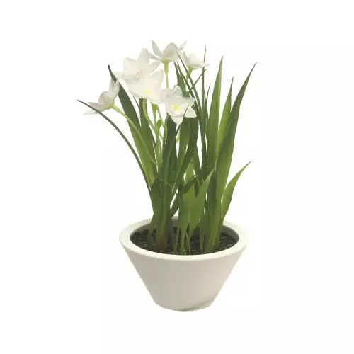 By Kohler Daffodil w/white pot cream 18cm (200992)