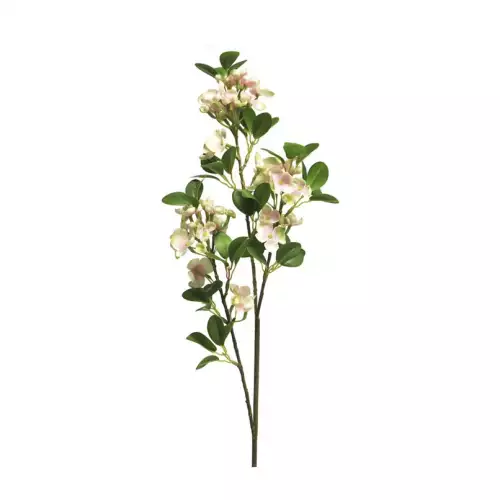 Wild seringa Auke pink 65cm