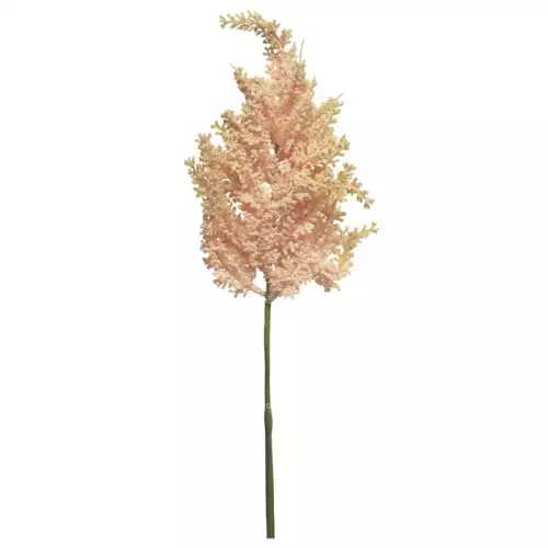 (Best) Astilbe spray pink 70cm