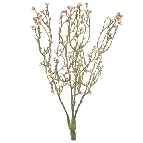 (Best) Mini star flower bush pink 44cm