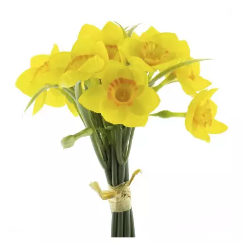 Daffodil bundle x6 yellow/orange 25cm