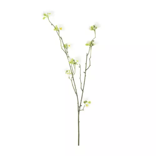 New blossom spray yaro cream 67cm