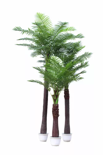 Coco Palm Tree 250cm