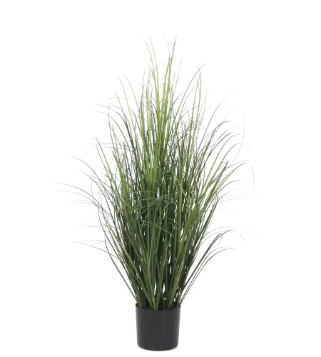 By Kohler Onion Grass 80cm (201541)