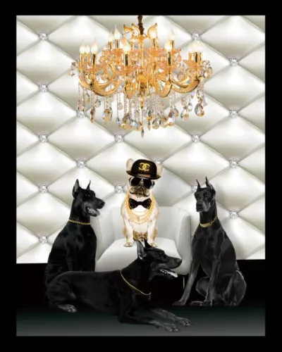 CC Bulldog 60x80cm Black Frame