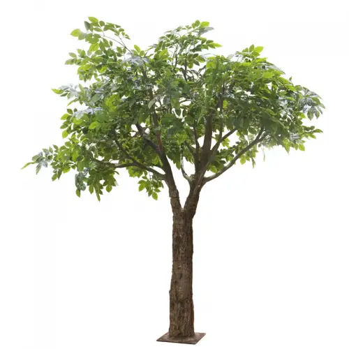 By Kohler Giant Ficus Tree green 160x160x230cm (114881)