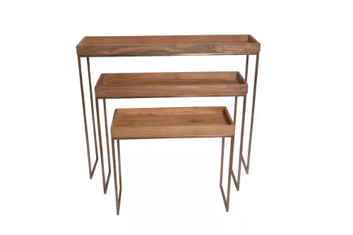 Ridley Console Set Teak Wood / Polish steel 